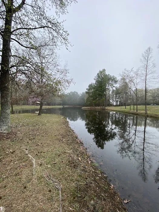 The Farm RV Park Picture 7