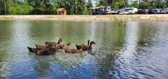 Bugout Rv Park Picture 10