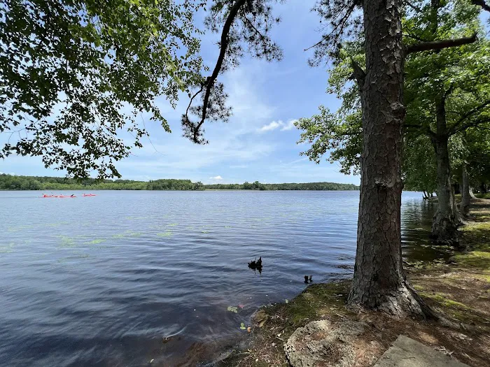 Petit Jean Campground Picture 9