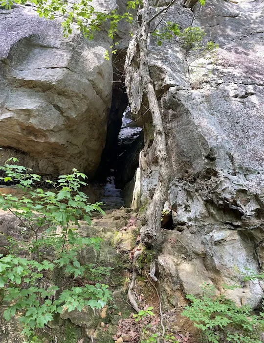 Petit Jean Campground Picture 6