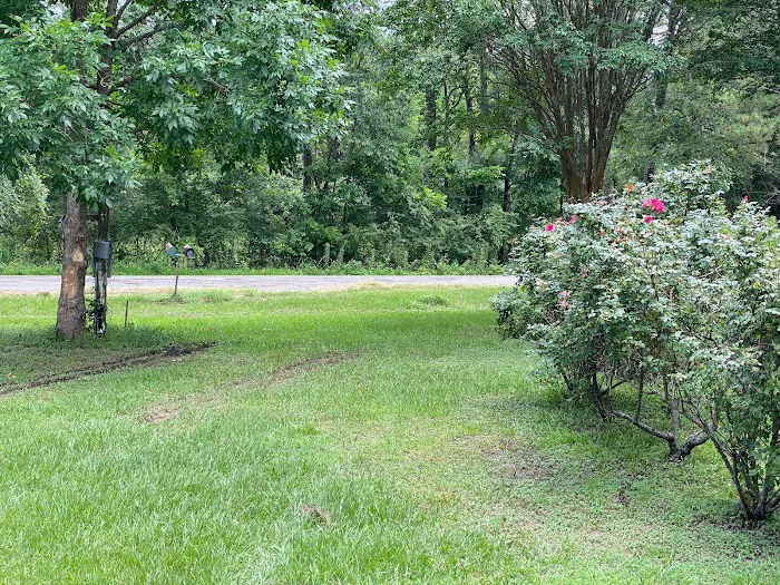 Little Gem RV Park Picture 5