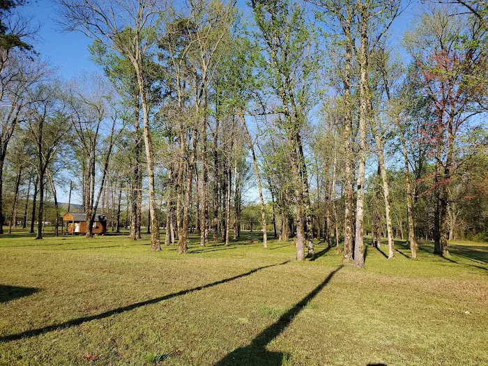Cypress Creek Park Picture 4