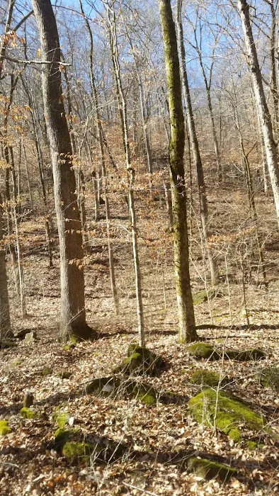 Haw Creek Falls Recreation Area Picture 8