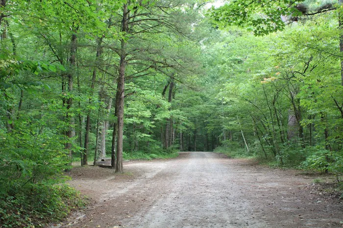 Haw Creek Falls Recreation Area Picture 2