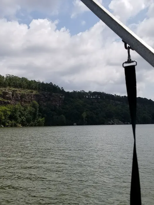 Lake Dardanelle Area Picture 4