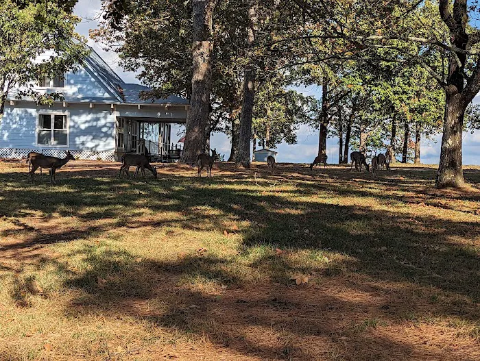 Mount Nebo Campground Picture 10