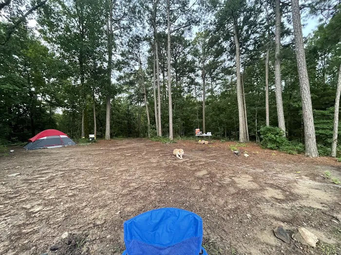 Sunsets on the Arkansas River campsites Picture 4
