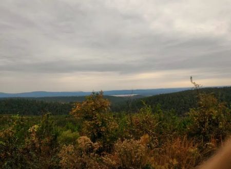 US Forestry Department