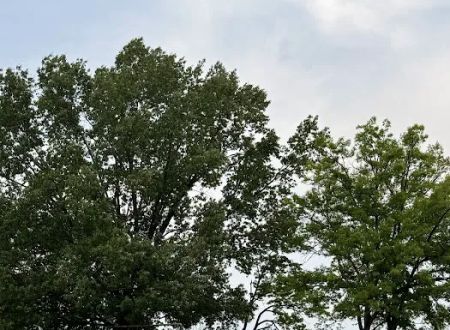 Maumelle Park