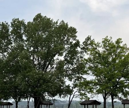 Maumelle Park