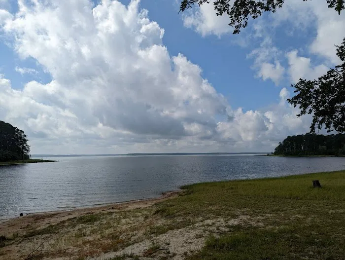 Farmer's Cove RV Park Picture 3