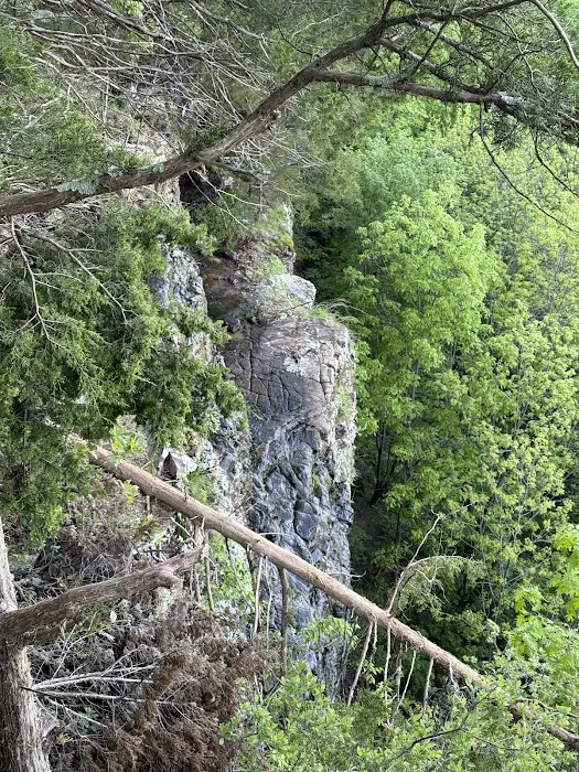 The High Ground Picture 8
