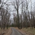 Hay Lake Campground