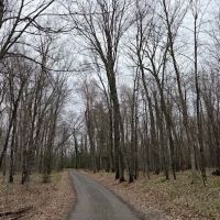 Hay Lake Campground ico
