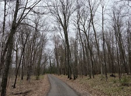 Hay Lake Campground