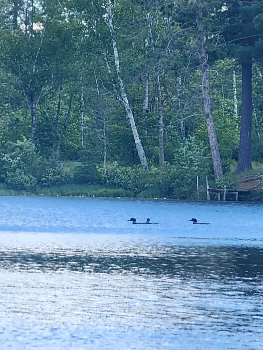 Boot Lake Camp Picture 9