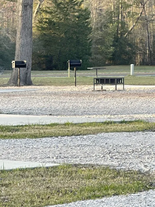 Auntie M's RV Park Picture 9
