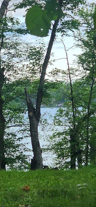 RuisCamp Private Property Picture 1