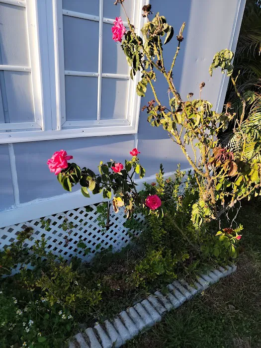 Seville Mobile Home Park Picture 1