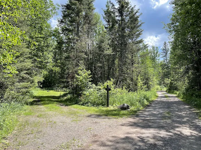 Sullivan Lake Campground Picture 6