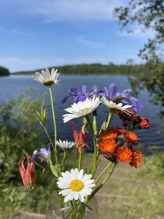 Sullivan Lake Campground Picture 3