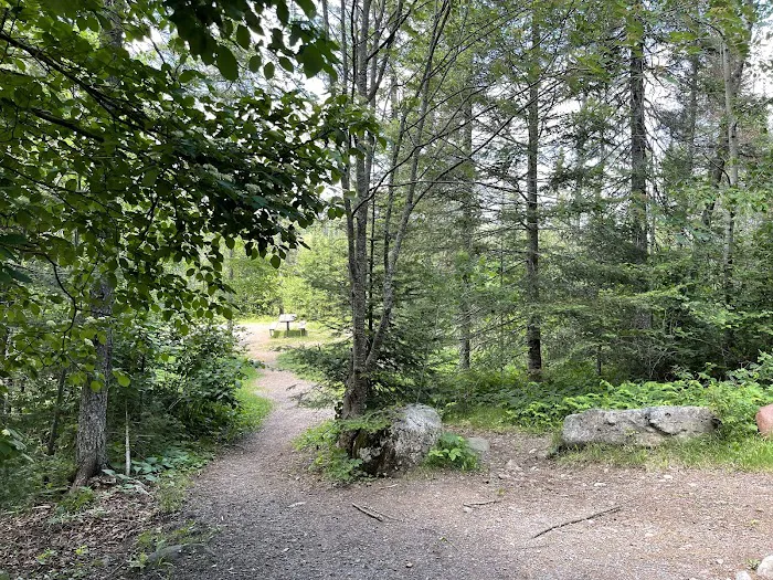 Sullivan Lake Campground Picture 9