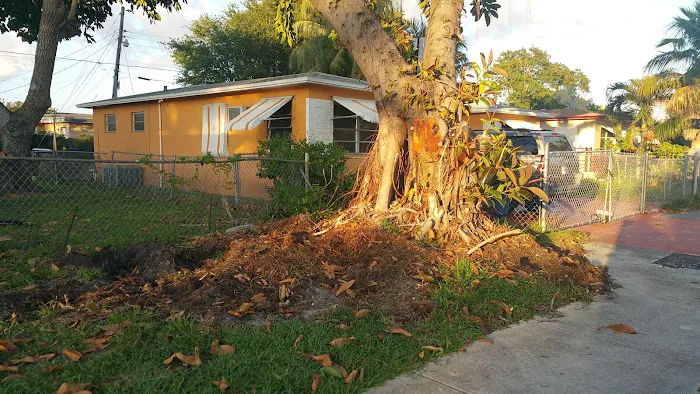 Home Mobile Home Picture 9
