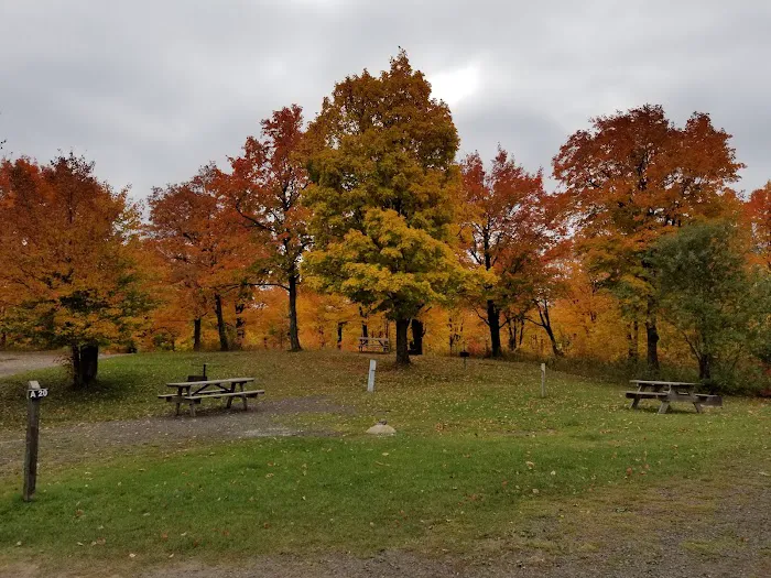 Sherwood Forest Campground Picture 9