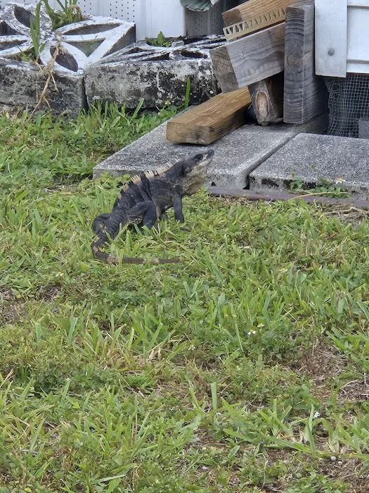 Pembroke Park Lakes Mobile Picture 7