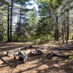 Chapins Ridge Camp
