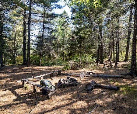 Chapins Ridge Camp