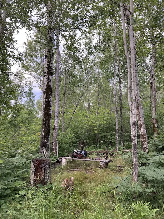 Beaver Pond Camp Picture 4