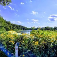 Dead Timber State Recreation Area ico