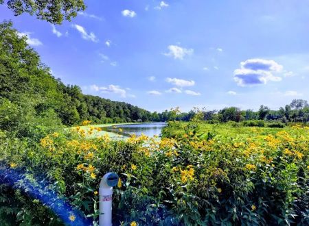 Dead Timber State Recreation Area