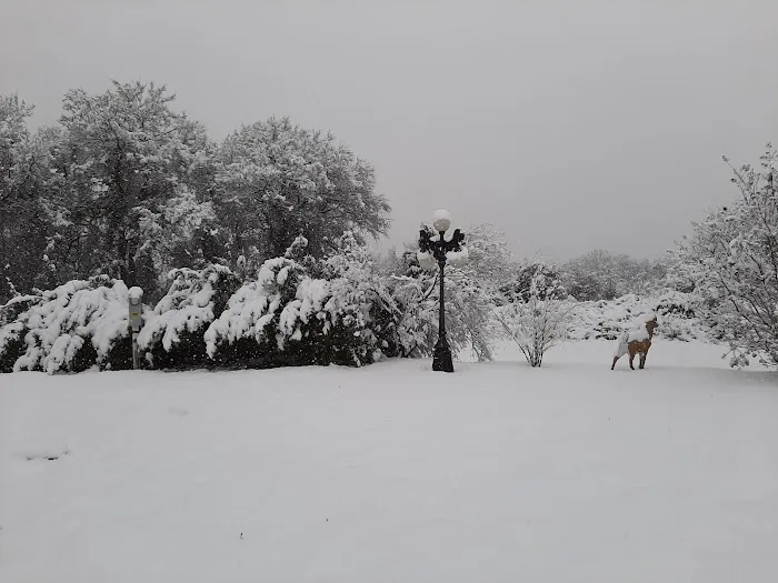 Lil Bit Country RV Park Picture 4