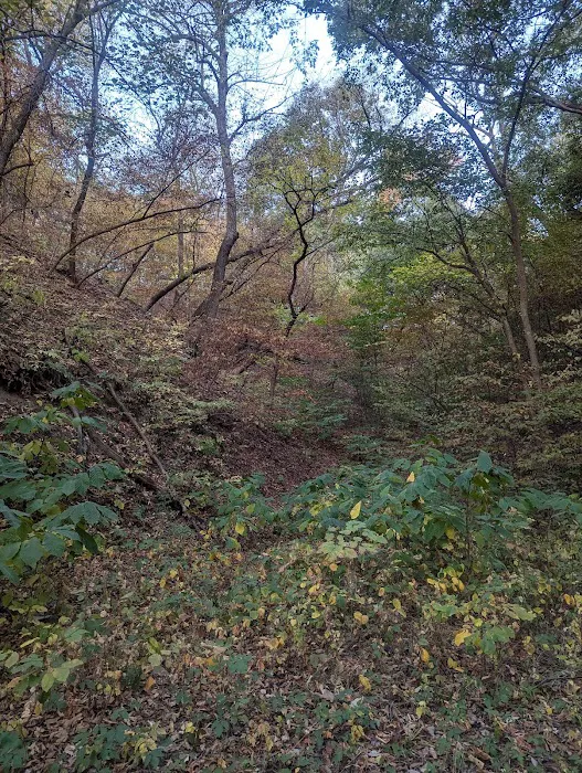 Brickyard Hill Campground - Notth Picture 7