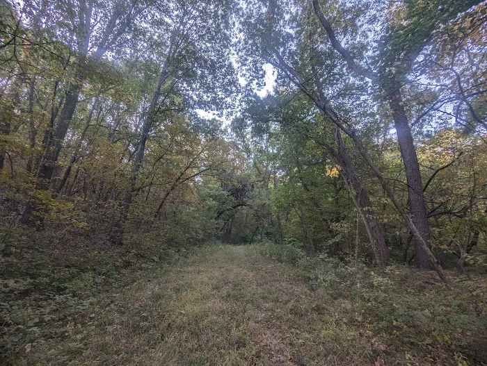Brickyard Hill Campground - Notth Picture 10