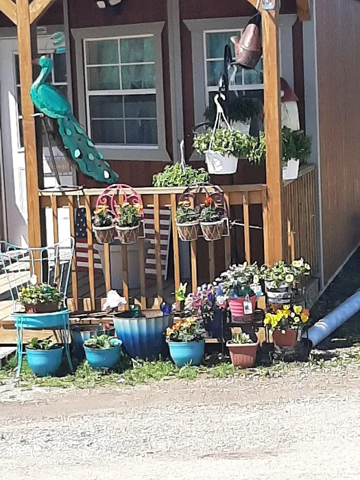 All American Campground and RV Park Picture 2