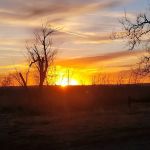 All American Campground and RV Park