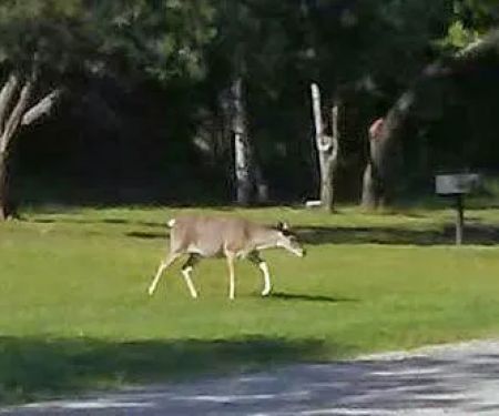 Quail Run RV Park