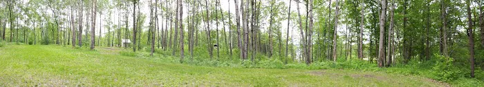 37 Acres RV & Campground Picture 8