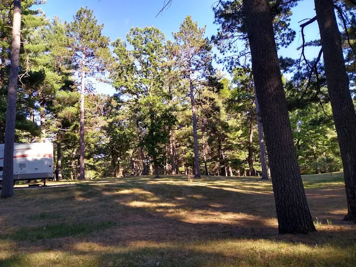Deparcq Woods Campground Picture 7