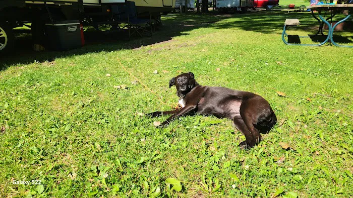 Camp S'more Campground Picture 10