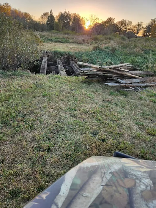 Grumpy's Out-back Campground Picture 6
