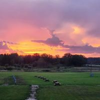 Grumpy's Out-back Campground ico