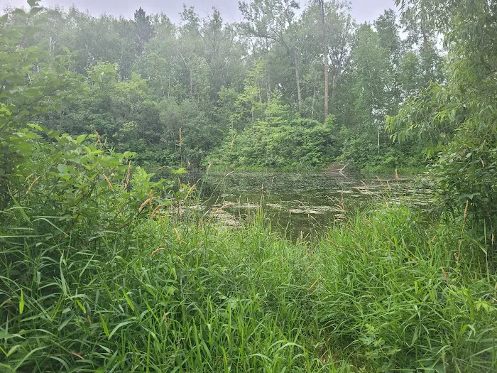 Portsmouth Campground Picture 10
