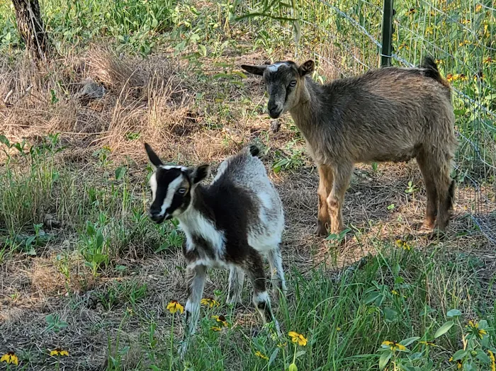 BATL Ranch RV Resort LLC Picture 8