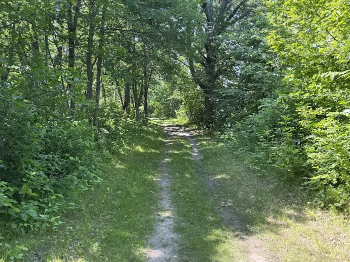 Crow Wing State Park Campground Picture 2