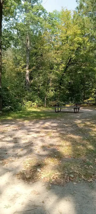 Crow Wing State Park Campground Picture 5