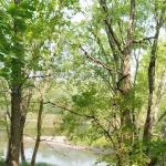 Group Camp